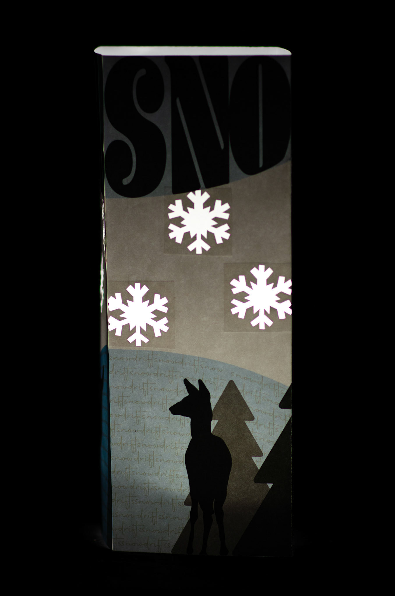 Illuminated | Panel 1