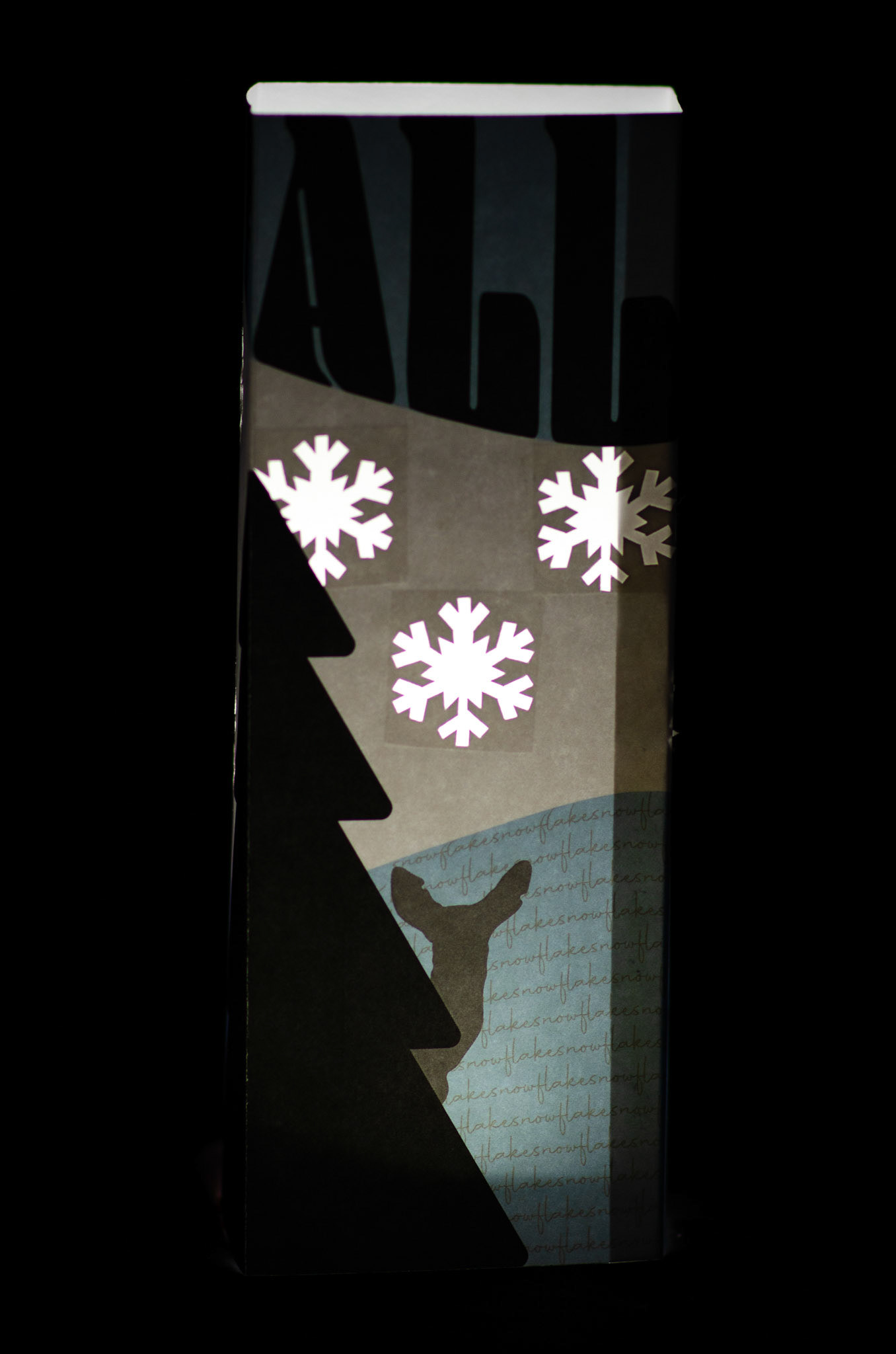 Illuminated | Panel 4