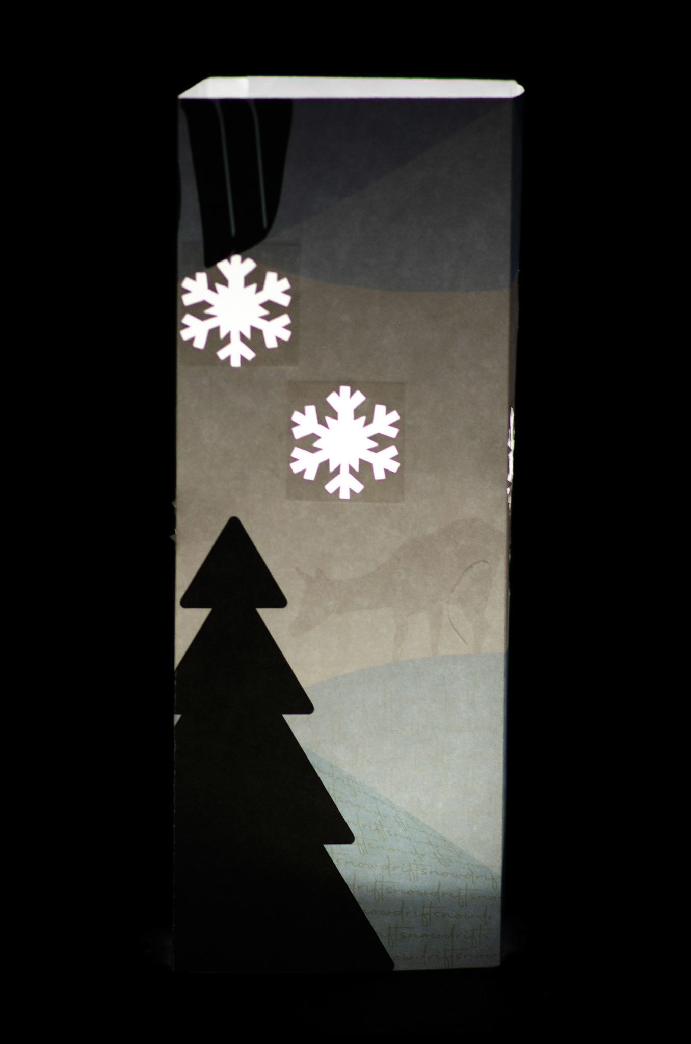 Illuminated | Panel 2