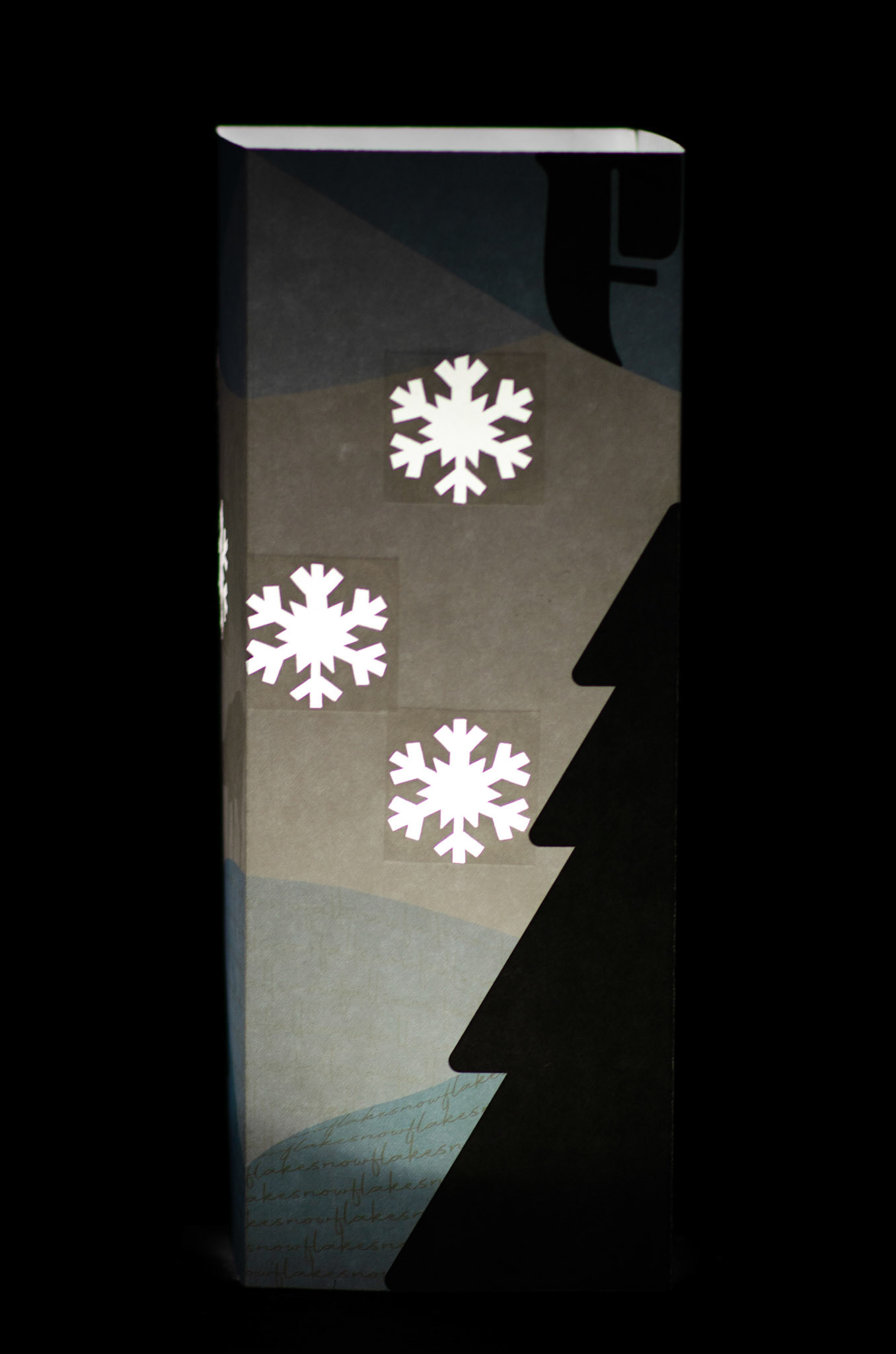 Illuminated | Panel 3